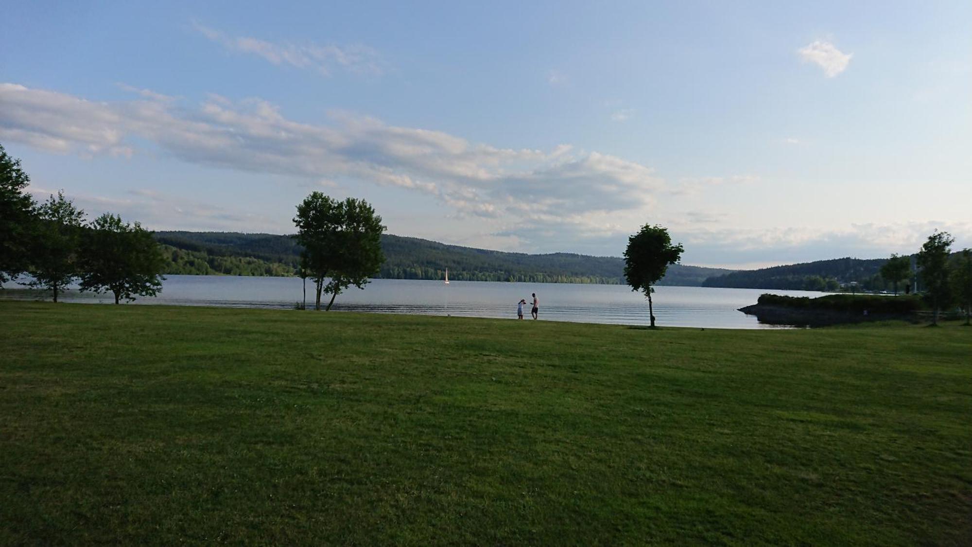 Lipno99 Villa Lipno nad Vltavou Oda fotoğraf